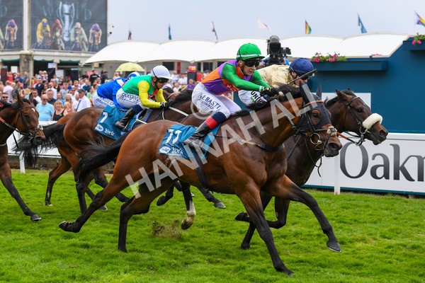 170623-Race 4-Quinault-0639 - Race 4 3.40pm Oakmere Homes Supporting Macmillan Sprint Handicap
