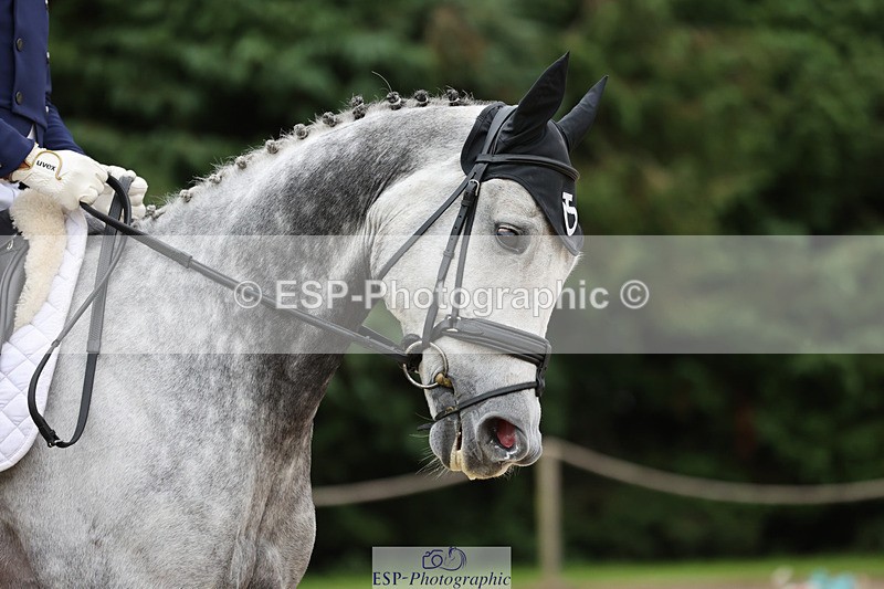 241024-151426-04778 - 231-Carlos.Parro-WADACRE.ARAMIS