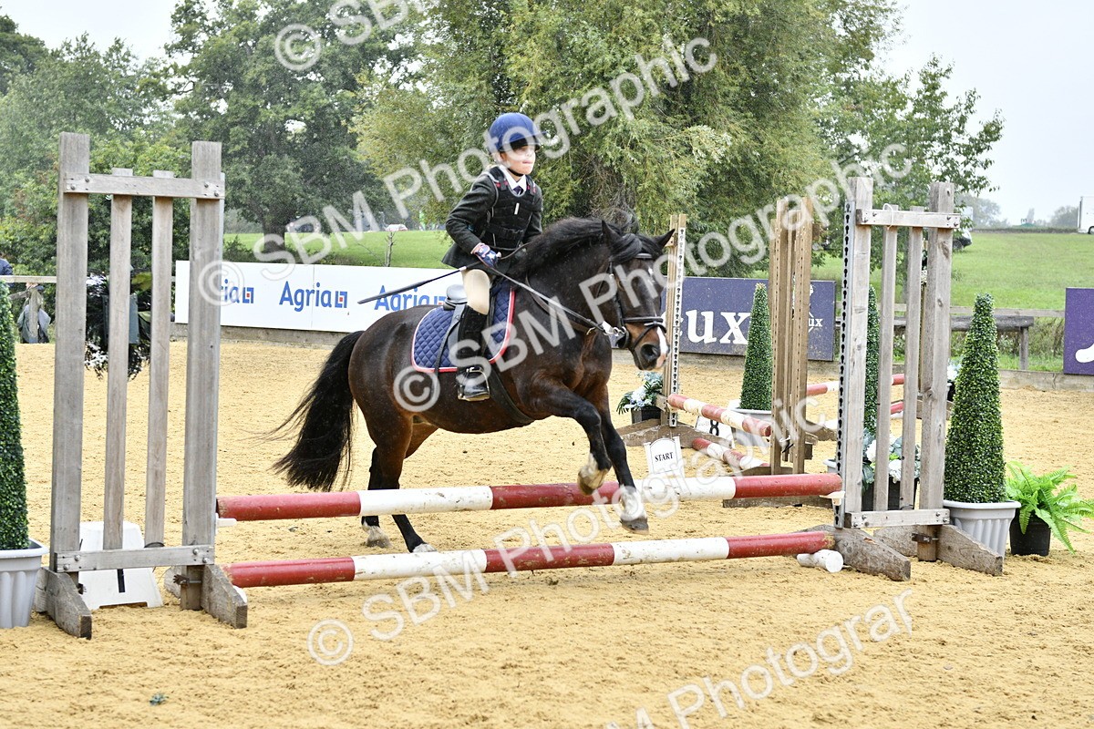 SBM_70752 - J3 - Mini Tour Junior Pony 40cm championship