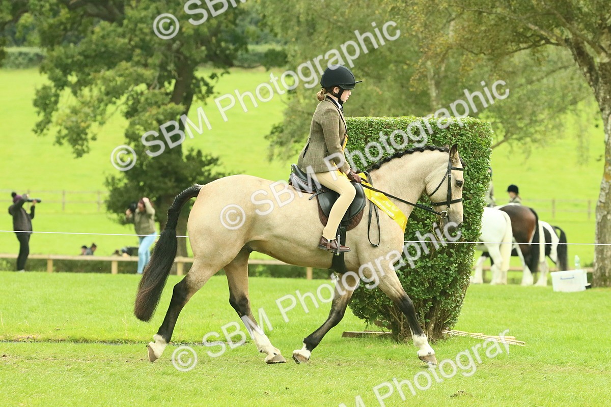 SBM_74997 - Ridden Pony Supreme Championship