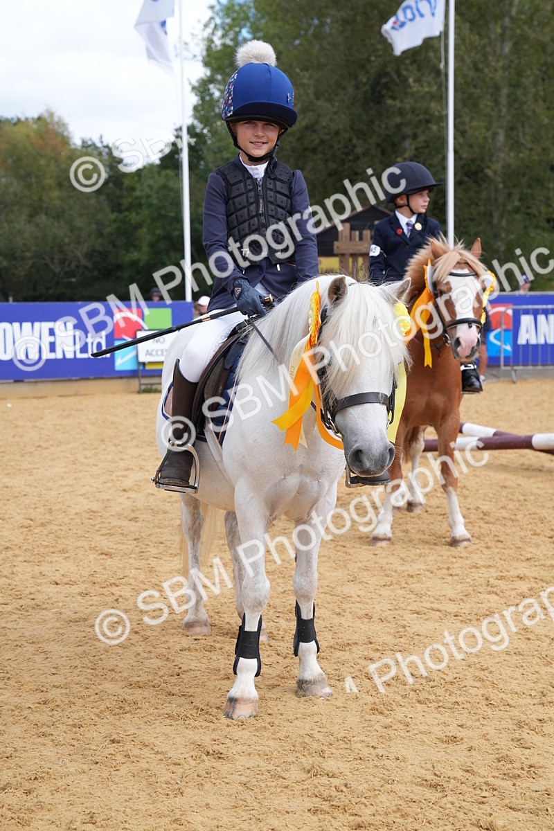 SBM_64535 - J2 - Mini Tour Junior Pony 30cm Championship