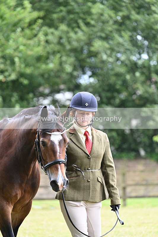 WJ7_6246 - Class 4a Prettiest Mare over 14hh