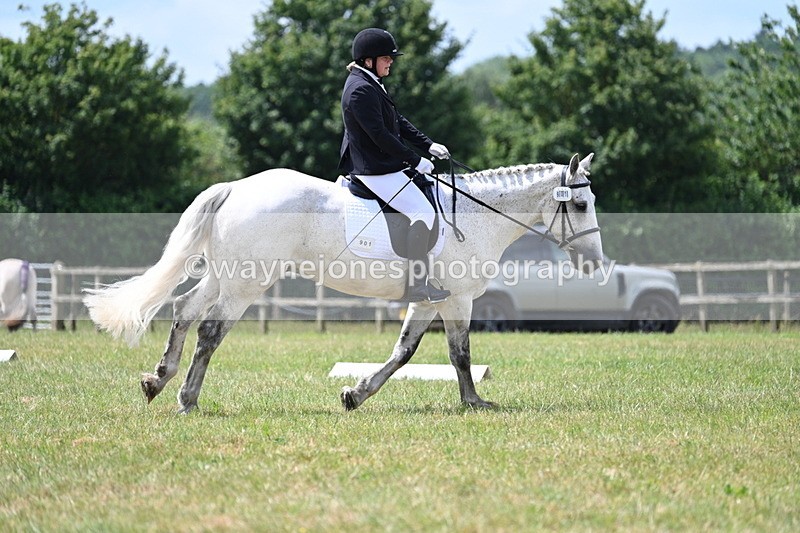 WJ7_4951 - Time 11:22 to 11:51