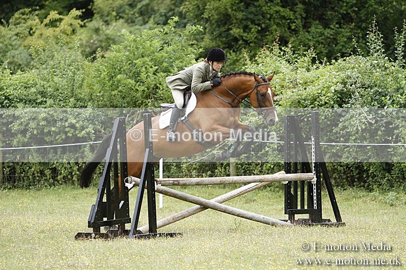 BVR160717-1682 - Ring 3 BVRC Show 16/07/17