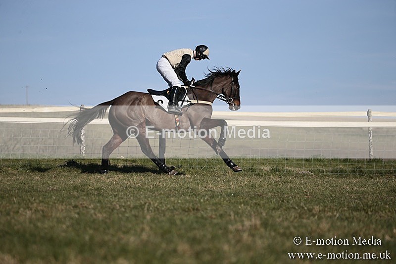 PtP 240218 456 - Vine & Craven Hunt Point-to-Point Barbury racecourse 24/02/18