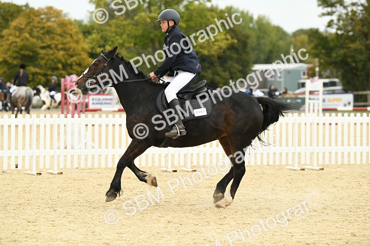 SBM_73204 - J16 - Junior Pony 75cm Championship