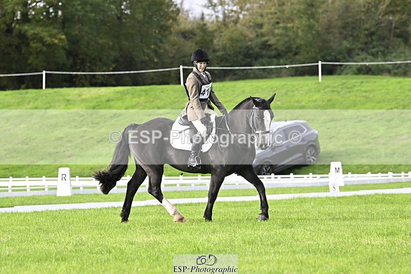 251023A-105845-02972 - F-410-Kt.English-Baillie