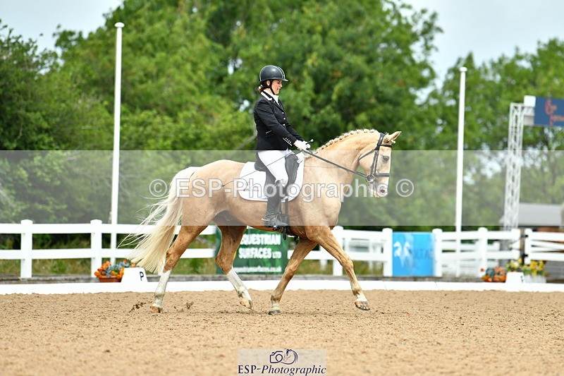 230702A-121811-09590 - Cls 28 Elementary 45