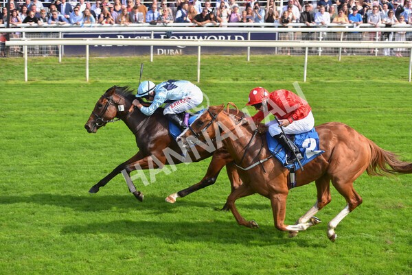 yr05092021r1-43 - Race 1 2.10pm IRE-Incentive It Pays To Buy Irish ebfstallions.com Novice Stakes