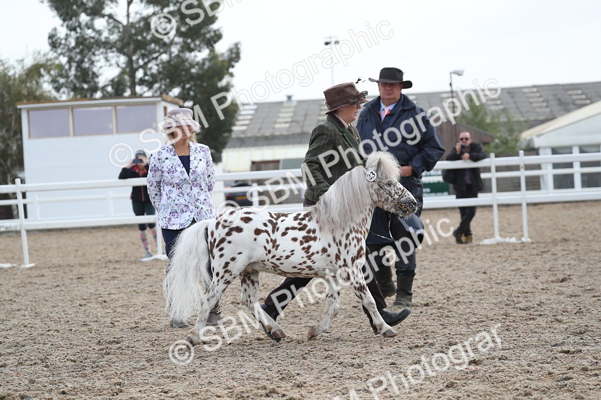 SBM_23131 - Class 605 - 2025 Area - IH Veteran