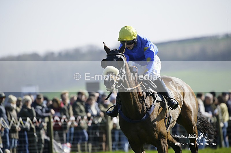 PtP 190322 521 - Wilton Hunt PtP Milborne St Andrew 19/03/22