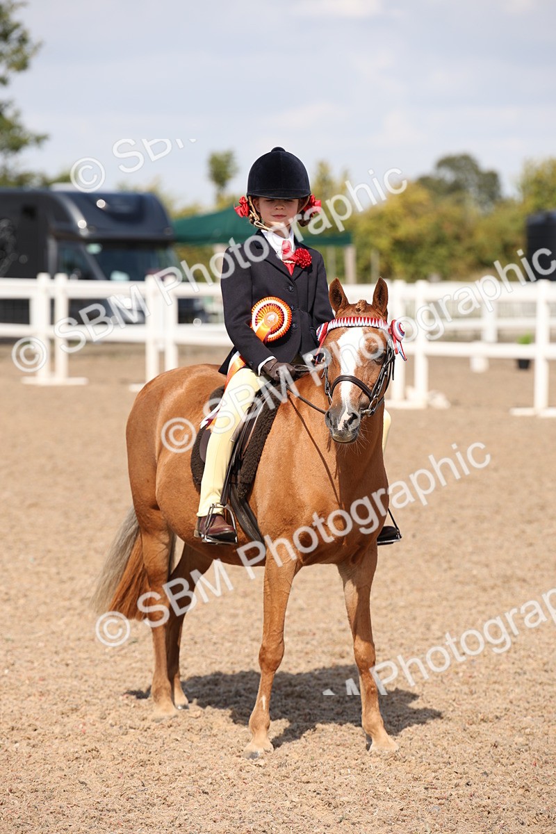 SBM_03079 - Class 17 Prettiest Mare IH or Ridden