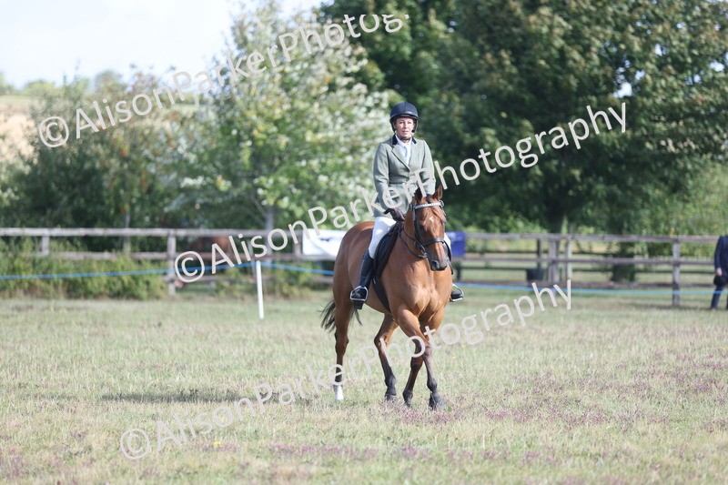 20250831-0816 - Class 14 - Ex Racehorse