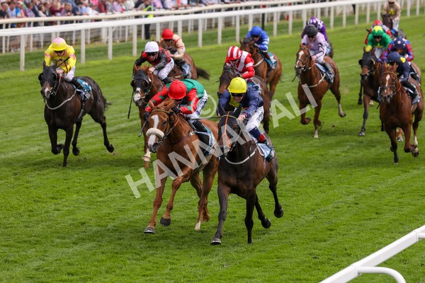 160524-Race 2-Point Lynas-1802 - Race 2 2.45pm Oakmere Homes Hambleton Handicap