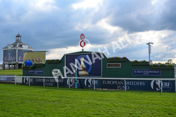yr12052021r7-34 - Race 7 4.50 pm Conundrum HR Consulting Stakes