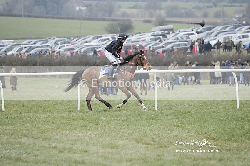 PtP 040323 609 - Duke of Beauforts Hunt Point-to-Point Didmarton 04/03/23