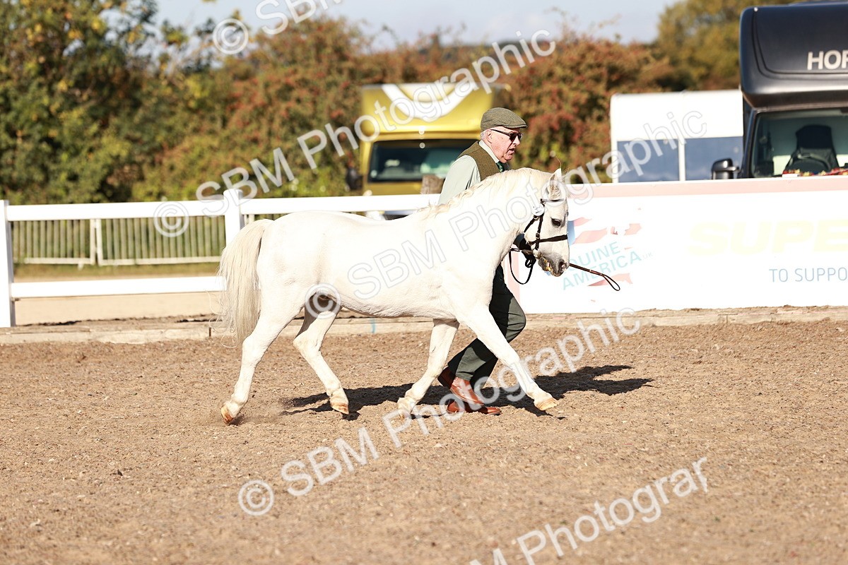 SBM_11381 - Class 402 - IH  Veteran pony