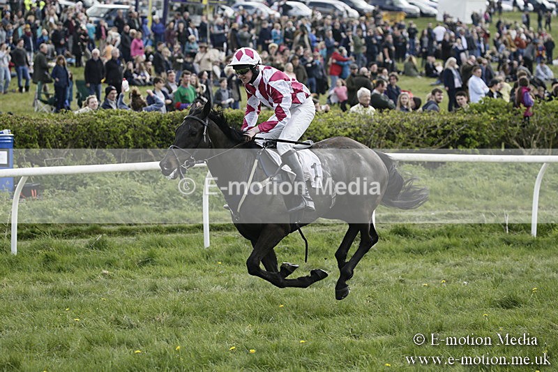 PtP 170417 366 - Old Berks Point-to-Point Lockinge 17/04/17
