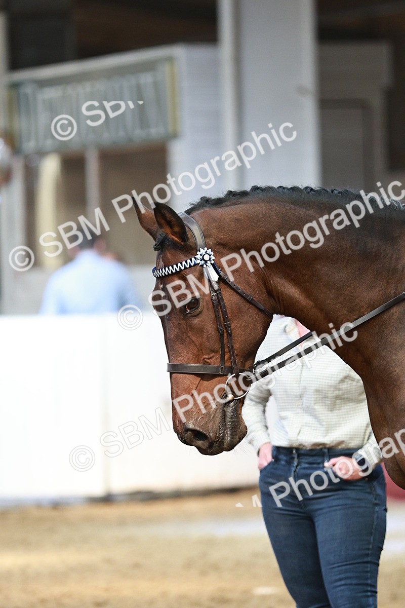 SBM_07047 - Class 10R - Regional Ridden Diamond