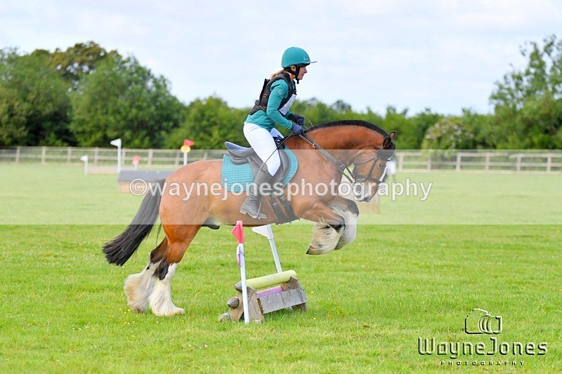 WJ5_2662 - Edited examples