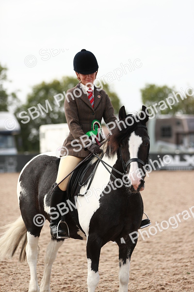 SBM_16830 - Class 214 Ridden Cob