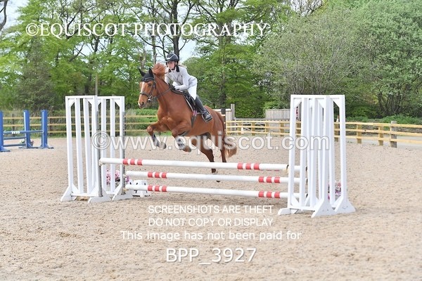 BPP_3927 - CLASS 2  Club/ Unaffiliated 80cms Open