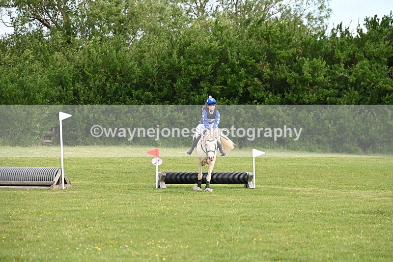 WJ6_2666 - Class 2 40cm