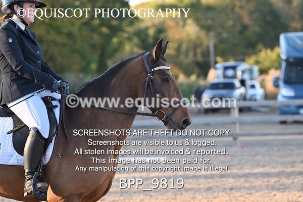 BPP_9819 - SHORT ARENA