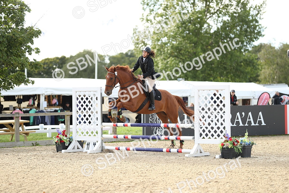 SBM_11433 - J37 - Veteran Rider 75cm