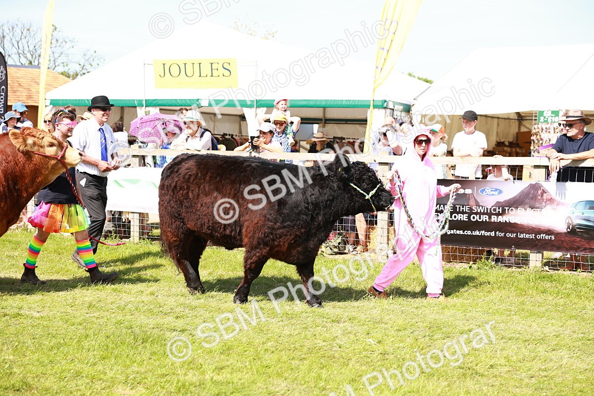 SBM_08342 - Grand Parade