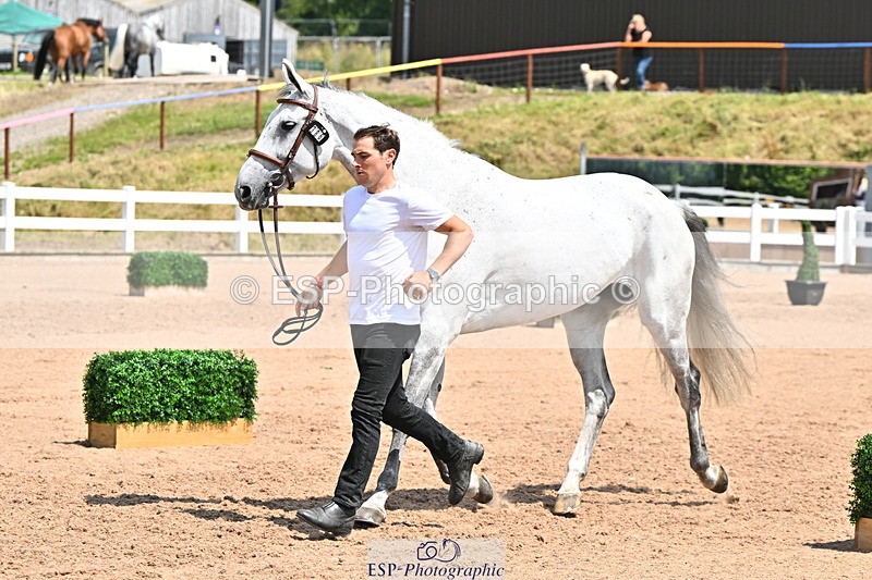 240718A-105310-01662 - Trot Up 1pm to 2pm