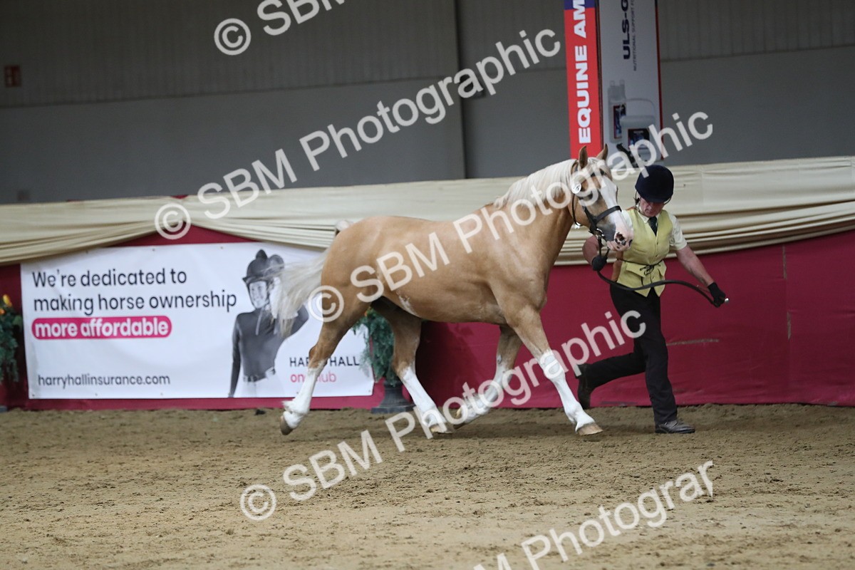 SBM_06277 - Class 9R Regional- IH Pre Vet