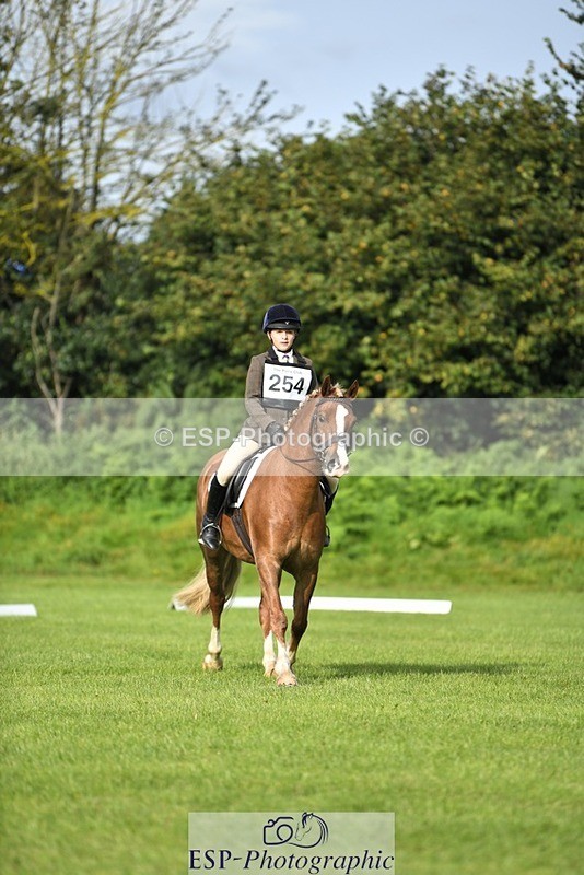 230826-091325-15056 - Sections C & D 9 to 10am