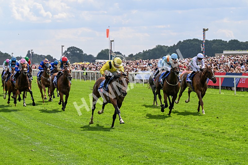 220826-Race 2-Infraad-9773 - Race 2 14.25pm Sky Bet Melrose Handicap