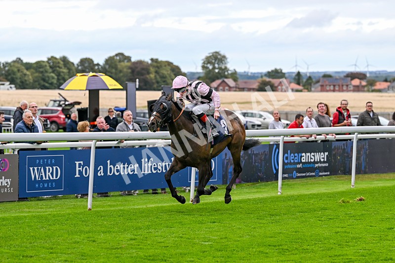 170925-Race 1-Quantum Power-3741 - Race 1