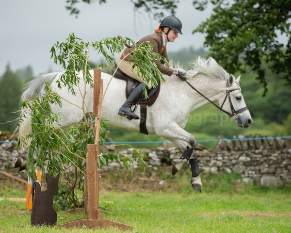 Dunblane show-572 - Dunblane and Doune Show Ring 1
