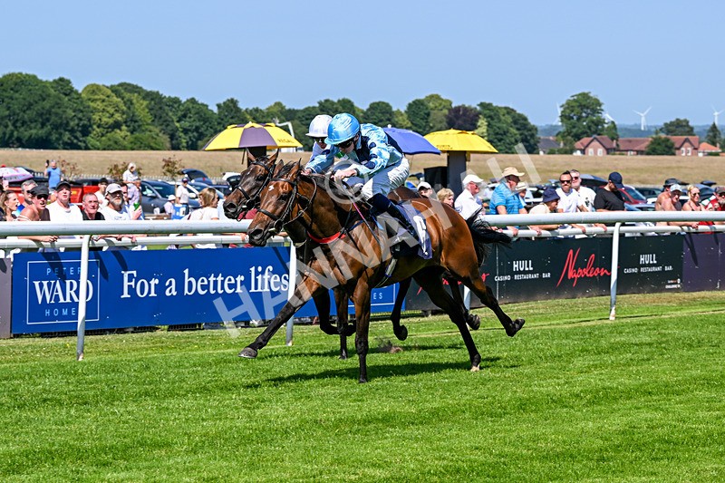 230626-Race 3-Tamzan-0691 - Race 3 15.15pm Big Racing Weekender Next 3 And 4 July Restricted Maiden Stakes
