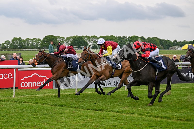 140524-Race 6-Flickering Halo-2740 - Race 6