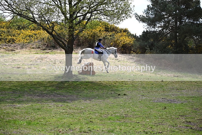 WJ6_9805 - Time 12:04 to 12:24