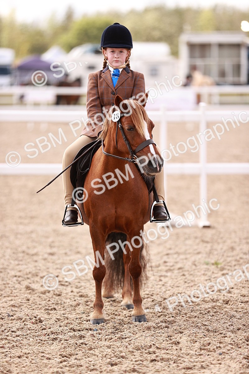 SBM_14368 - Class 409 - Grassroots Ridden - Pony