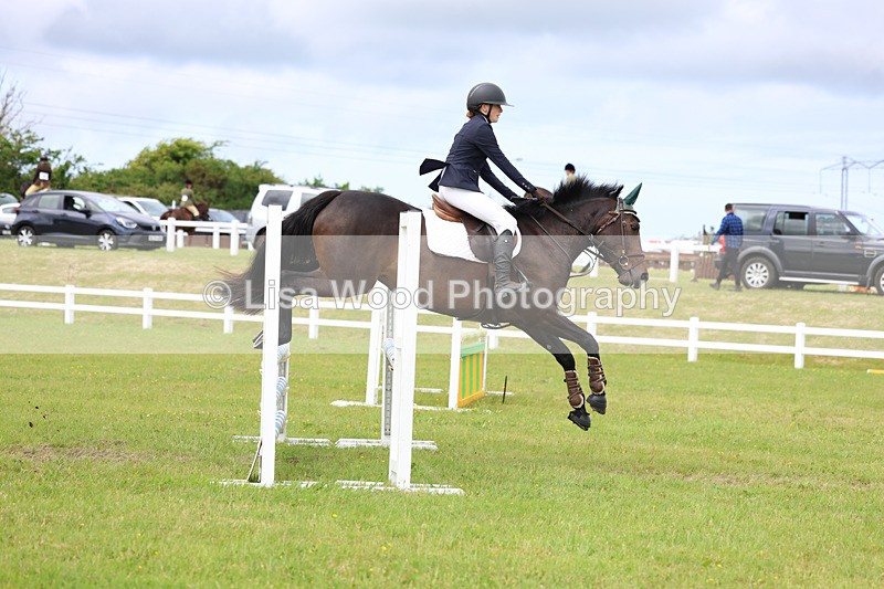 3E7A7695 - Class 13: Senior British Novice/90cm open