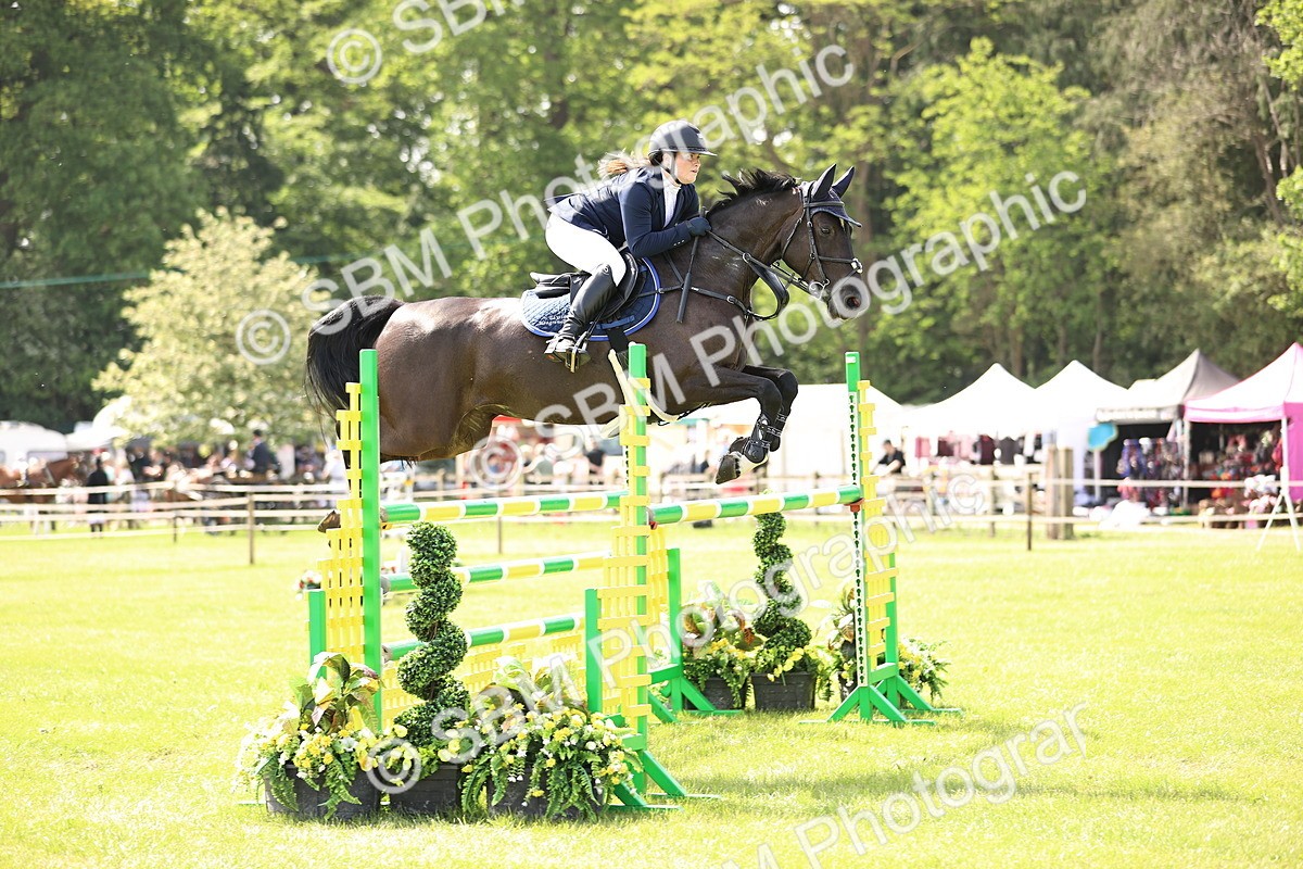 SBM_03074 - Class 201 - British Horse Feedds Speedi Beet HOYS Grade C