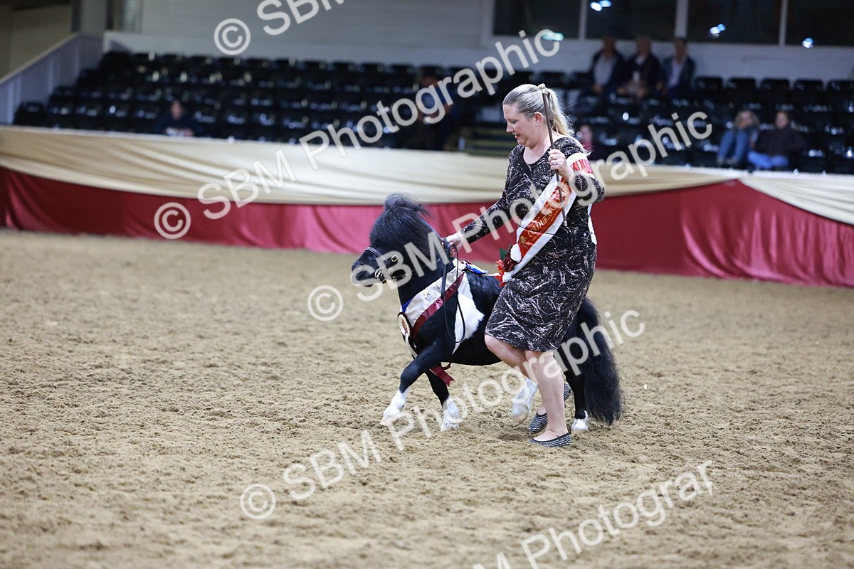 SBM_20883 - Class L - Coloured Champ