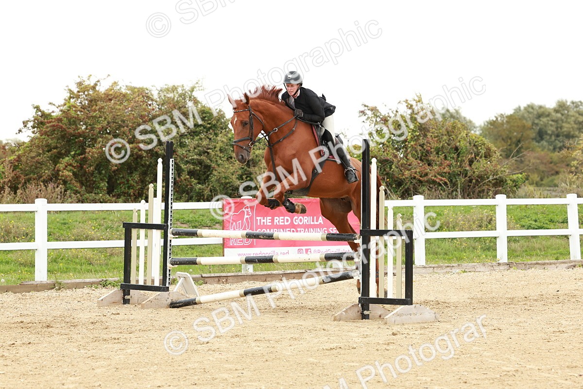 1I0A7132 - Class 2 - Senior British Novice