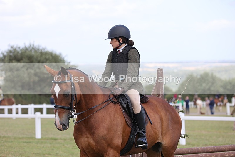 JPP_2351 - Class 19: Working Hunter 60cm