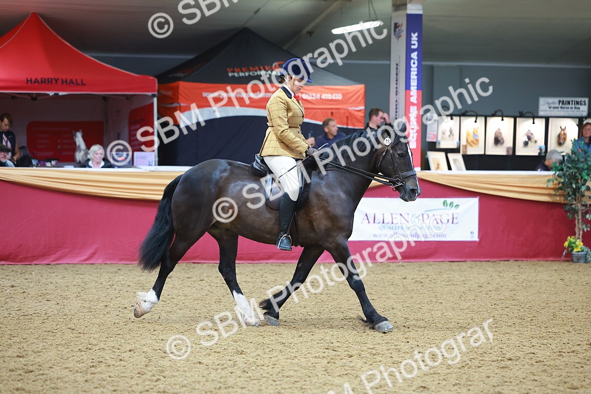 SBM_10674 - Class 103 - HOYS Veteran Qualifier - Ridden Pre Vet