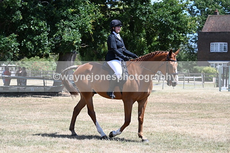 WJ7_2840 - Class 7 Riding Club Show Horse