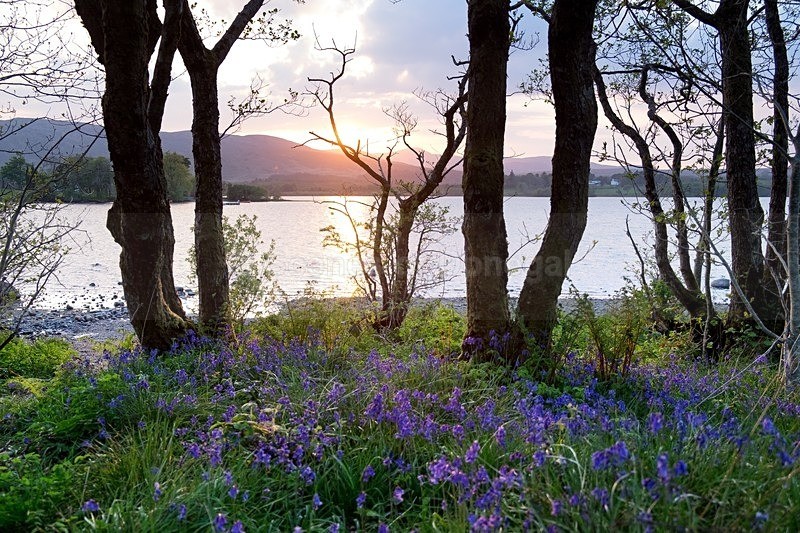 DSCF7819-Edit - Other Areas of Inland Donegal