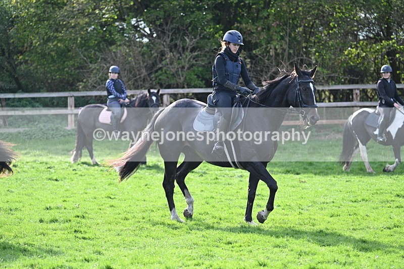 WJ7_1041 - Time 14:27 to 15:11