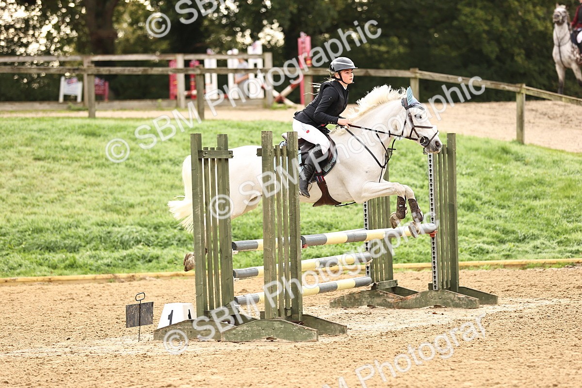 SBM_58168 - J41 - Grand Tour Horse & Pony 95cm